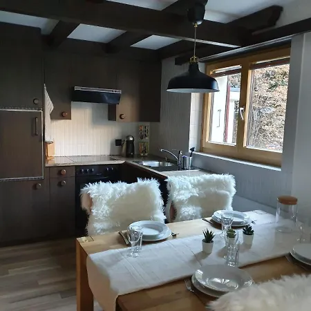 Bright Renovated Studio - 1 Min From The Slopes! Apartment *