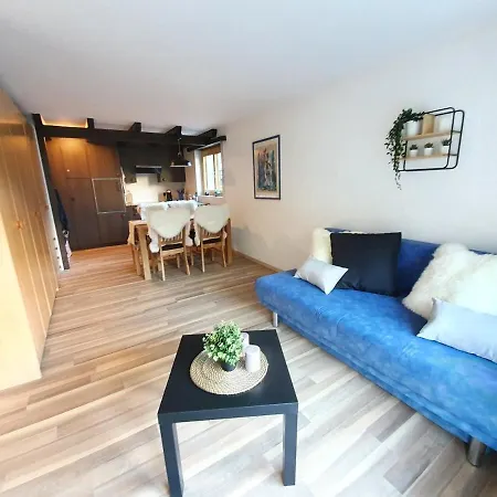 Bright Renovated Studio - 1 Min From The Slopes! Saas Fee